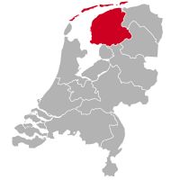 Mastiff breeder in Friesland,