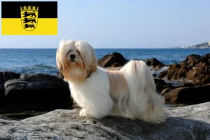 Read more about the article Lhasa Apso breeders and puppies in Baden-Württemberg